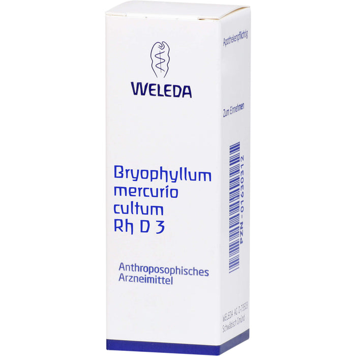 Bryophyllum Mercurio cultum Rh D3 Weleda Dil., 20 ml DIL