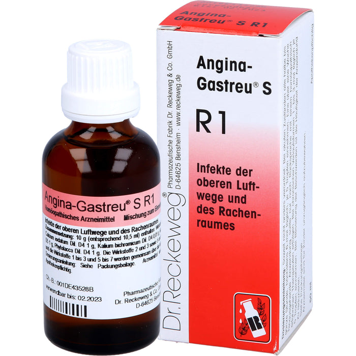 Dr. Reckeweg Angina-Gastreu S R1 Tropfen, 50 ml Solution