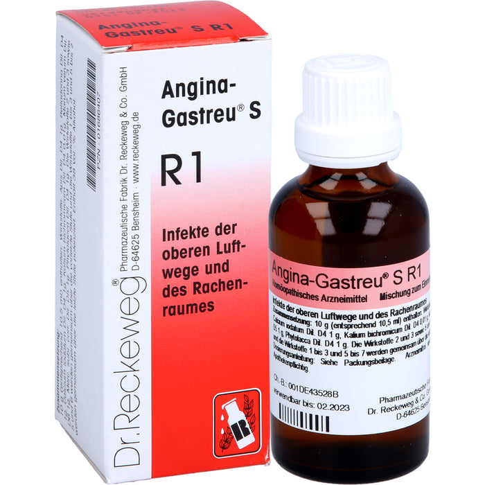 Dr. Reckeweg Angina-Gastreu S R1 Tropfen, 50 ml Solution