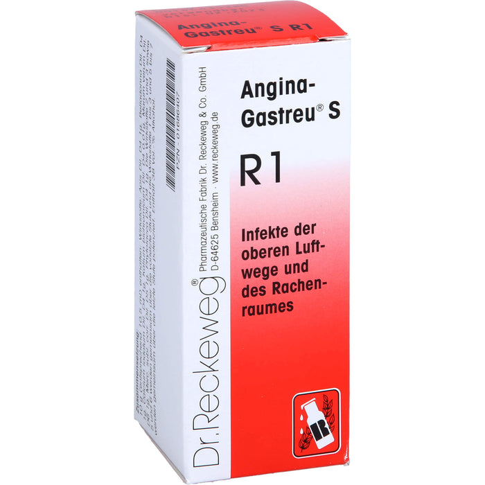 Dr. Reckeweg Angina-Gastreu S R1 Tropfen, 50 ml Solution