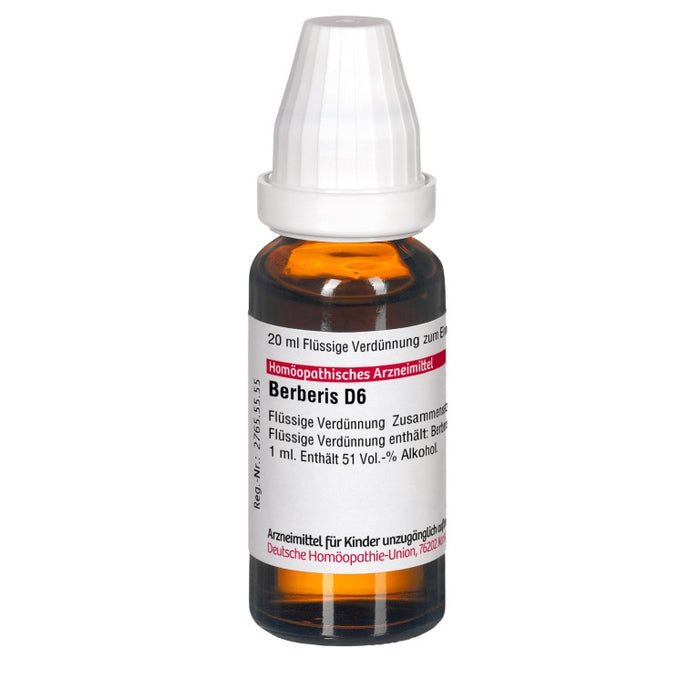 DHU Berberis D6 Dilution, 20 ml Solution