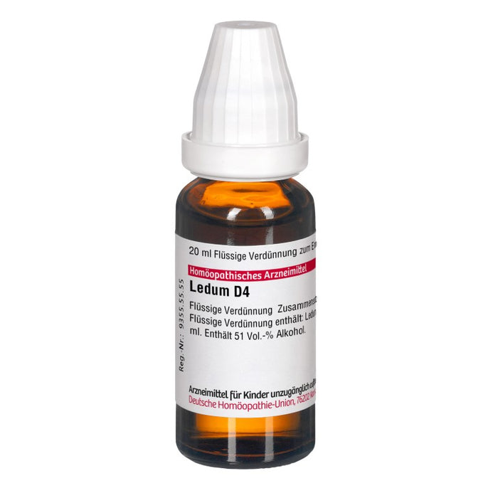 Ledum D4 DHU Dilution, 20 ml Lösung