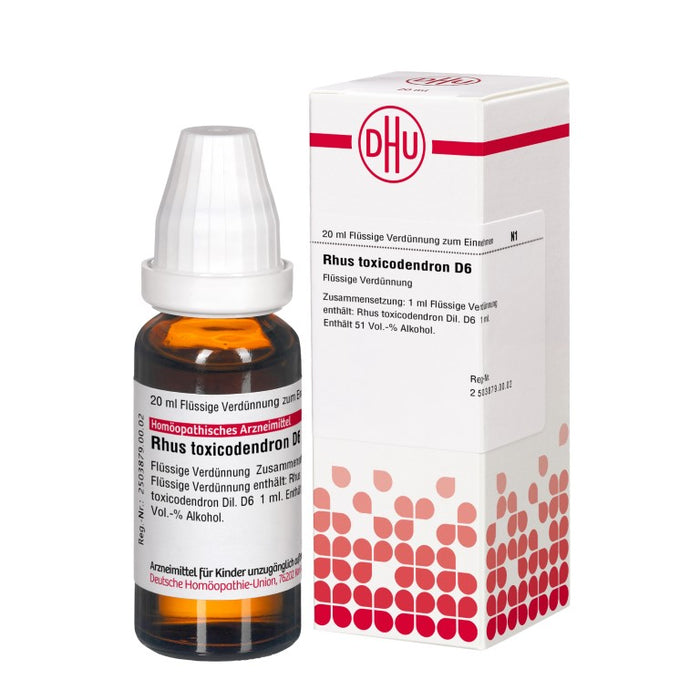 DHU Rhus Toxicodendron D 6 flüssige Verdünnung, 20 ml Solution