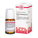DHU Rhus toxicodendron D6 Tabletten, 80 St. Tabletten