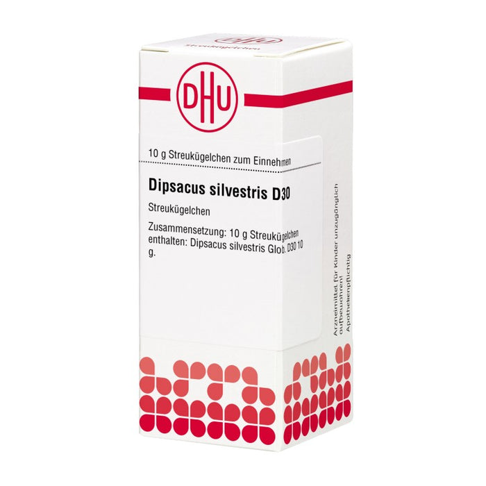 Dipsacus silvestris D30 DHU Globuli, 10 g Globules