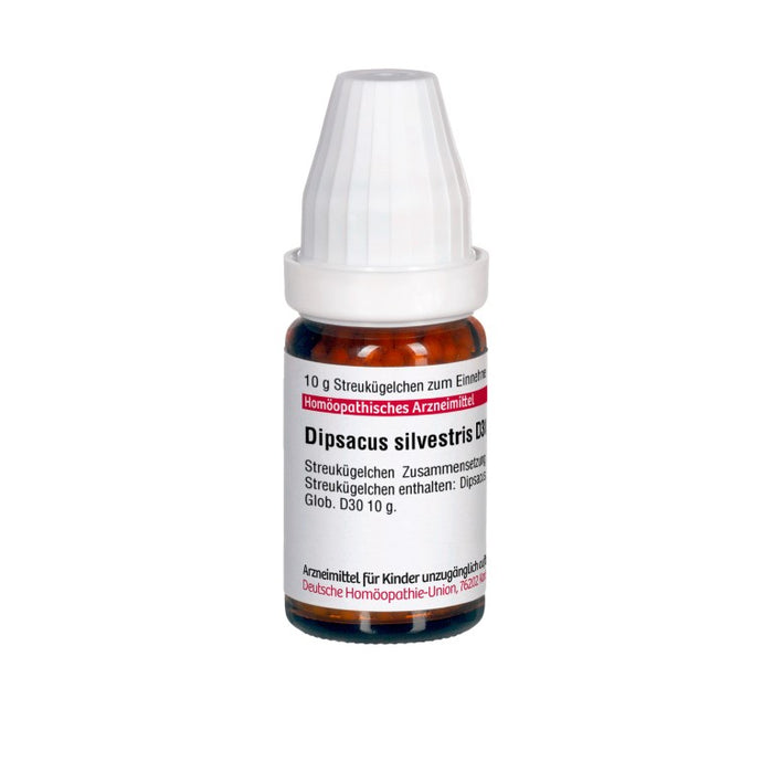 Dipsacus silvestris D30 DHU Globuli, 10 g Globules