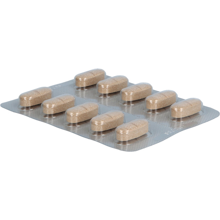 Tannalbin Tabletten 500 mg, 50 pcs. Tablets