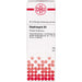 DHU Staphisagria D4 Dilution, 20 ml Lösung