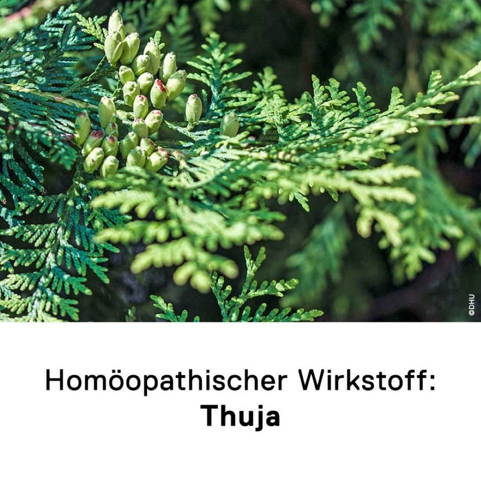 DHU Thuja Extern, 20 ml Solution