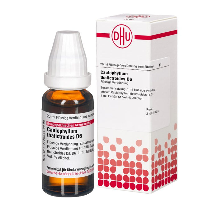 DHU Caulophyllum thalictroides D 6 flüssige Verdünnung, 20 ml Solution