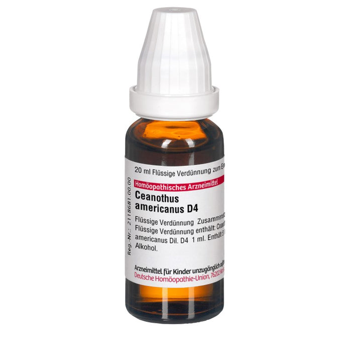 DHU Ceanothus americanus D4 Dilution, 20 ml Solution