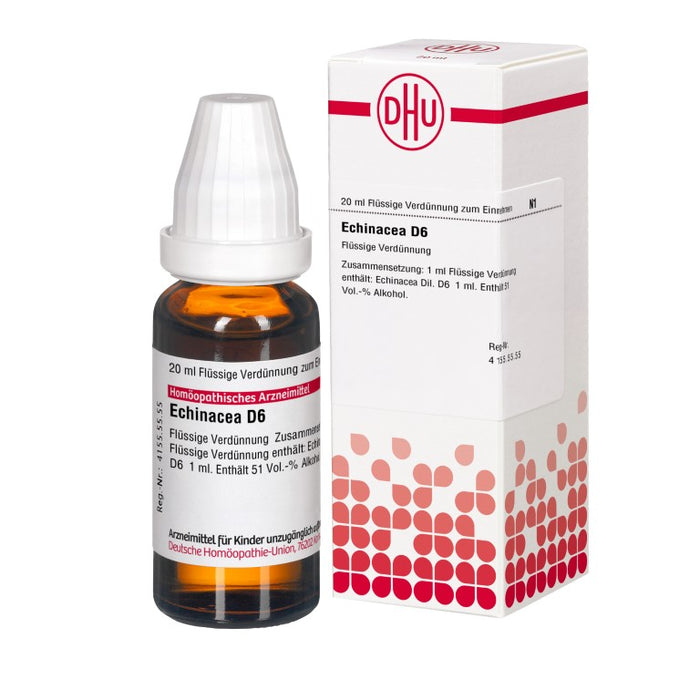 DHU Echinacea D6 Dilution, 20 ml Solution