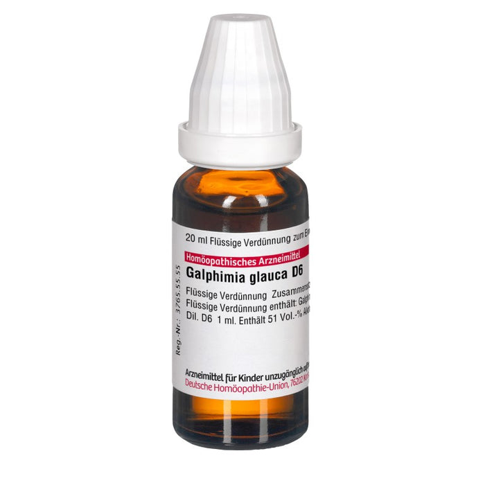 Galphimia glauca D6 DHU Dilution, 20 ml Solution