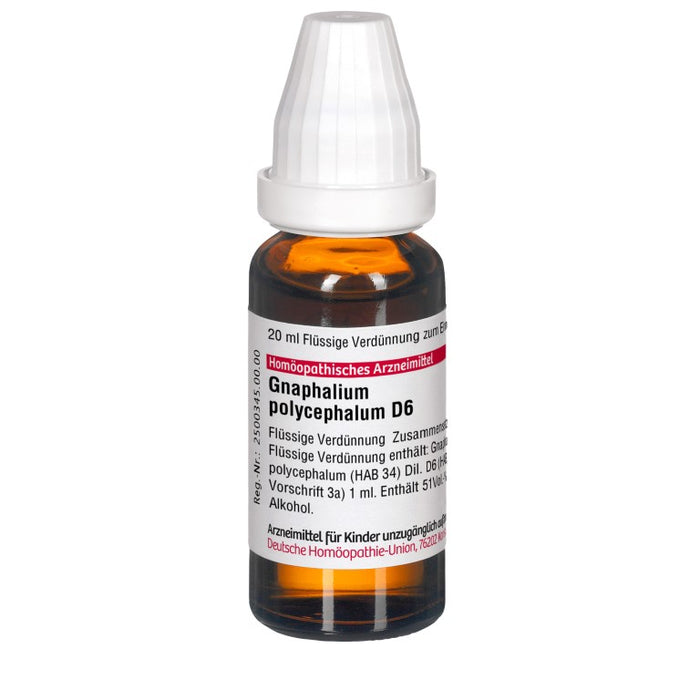 DHU Gnaphalium polycephalum D6 Dilution, 20 ml Solution