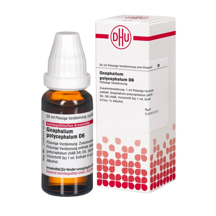 DHU Gnaphalium polycephalum D6 Dilution, 20 ml Solution