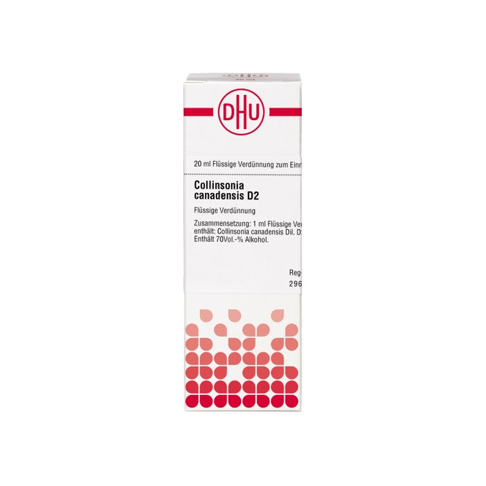 Collinsonia canadensis D2 DHU Dilution, 20 ml Lösung