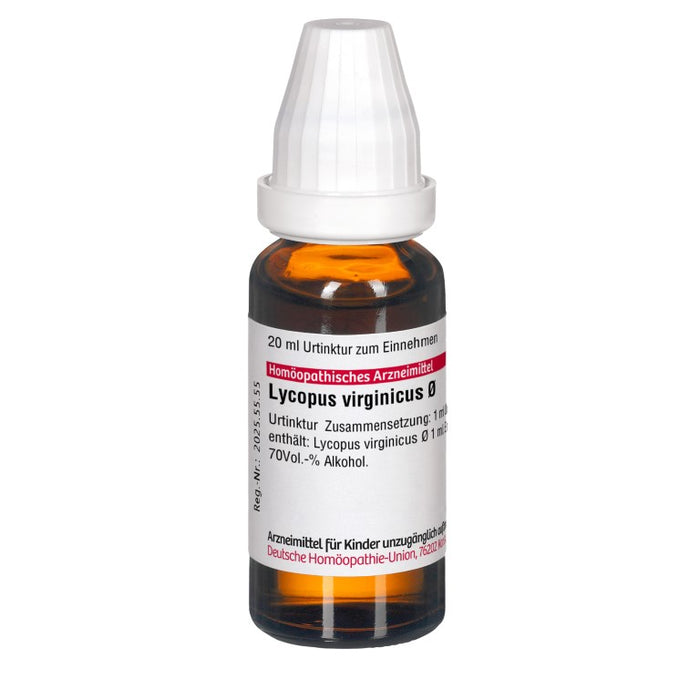 DHU Lycopus virginicus Ø Urtinktur, 20 ml Solution