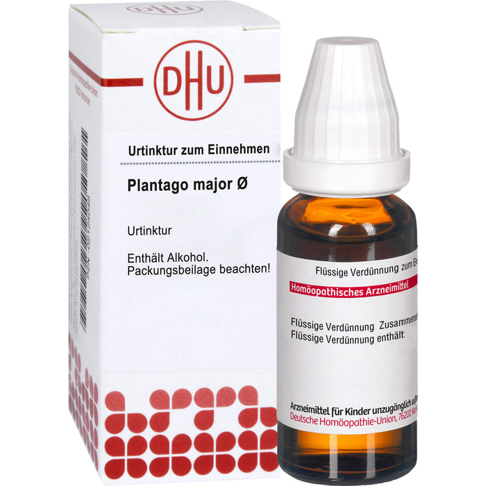 Plantago major DHU Urtinktur, 20 ml Solution