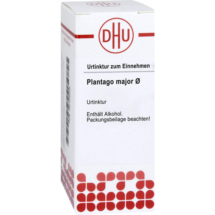 Plantago major DHU Urtinktur, 20 ml Solution