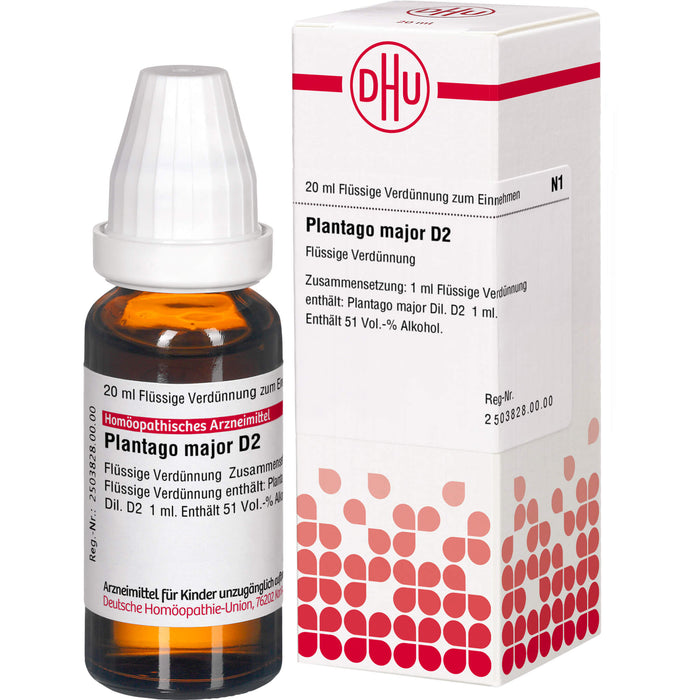 Plantago major D2 DHU Dilution, 20 ml Lösung