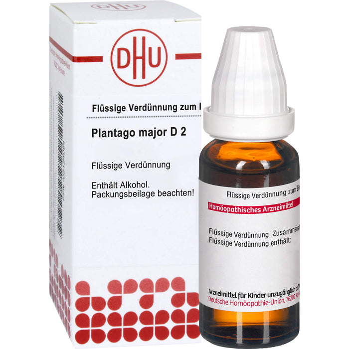 Plantago major D2 DHU Dilution, 20 ml Lösung
