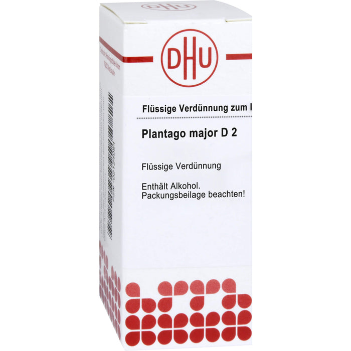 Plantago major D2 DHU Dilution, 20 ml Lösung