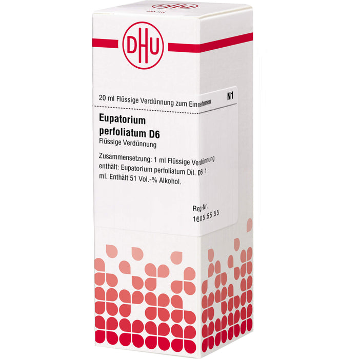 Eupatorium perfoliatum D6 DHU Dilution, 20 ml Solution