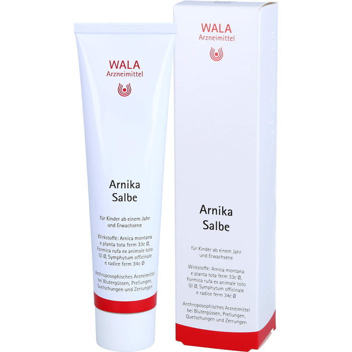 Arnika Salbe Wala, 100 g Onguent