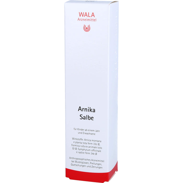 Arnika Salbe Wala, 100 g Onguent