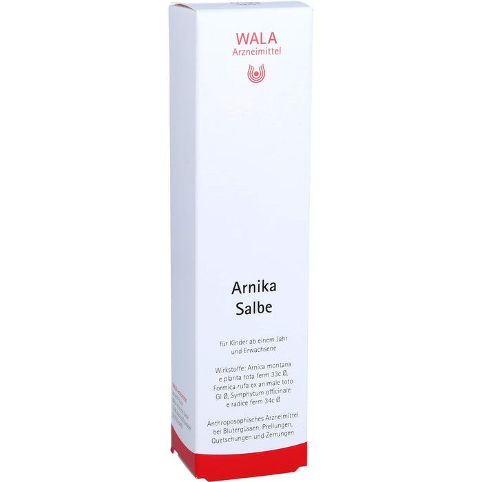 Arnika Salbe Wala, 100 g Onguent