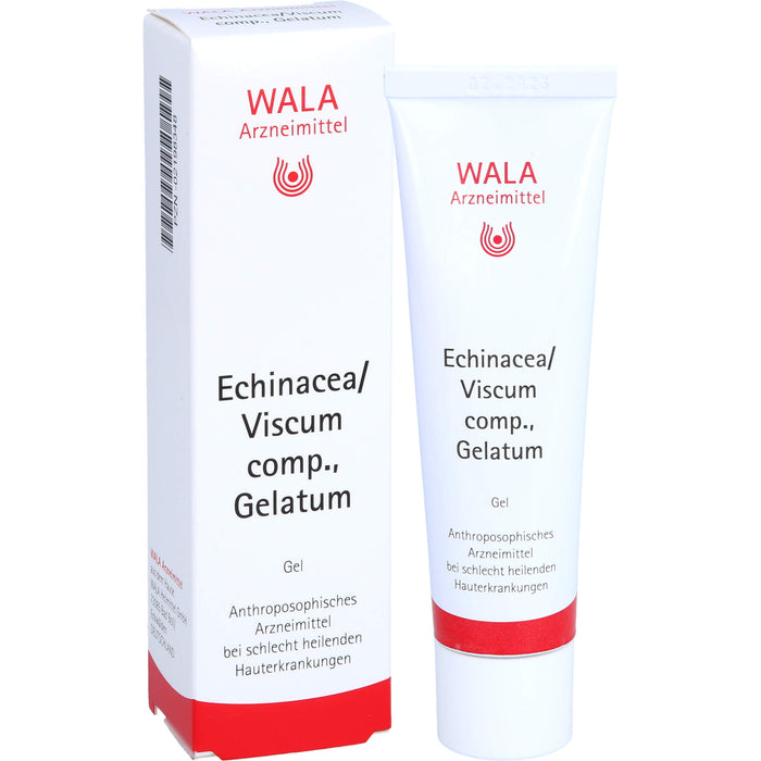 Echinacea/Viscum comp. WALA Gelatum, Gel, 30 g Gel