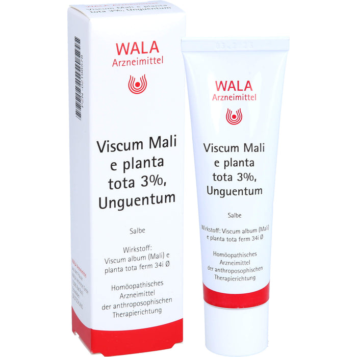 WALA Viscum Mali e planta tota 3% Salbe, 30 g Salbe