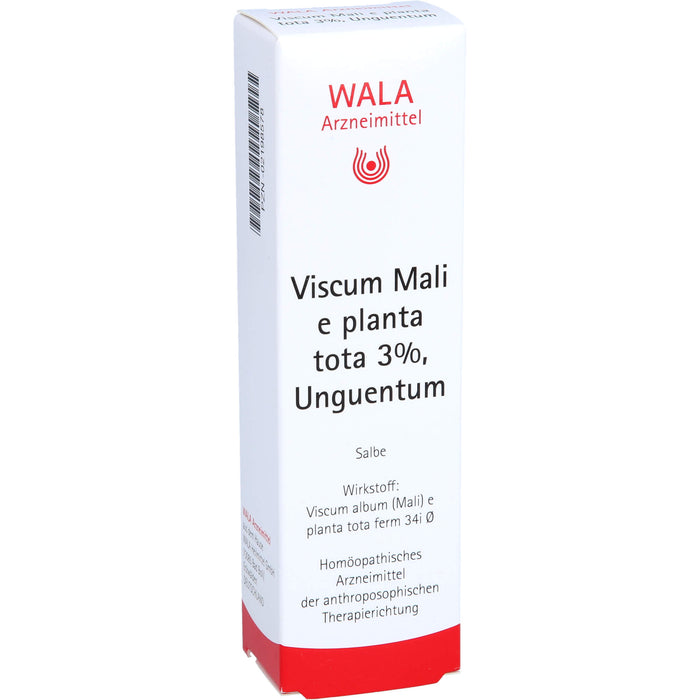 WALA Viscum Mali e planta tota 3% Salbe, 30 g Salbe