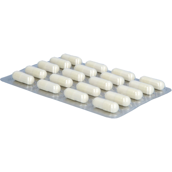 Twardy Kieselerde- und Calcium-Kapseln für Ihre Schönheit, 60 St. Kapseln