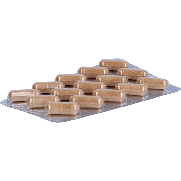 Brennnessel-Kürbiskern MensSana®, 60 St KAP