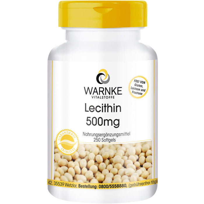 Lecithin 500mg, 250 St KAP