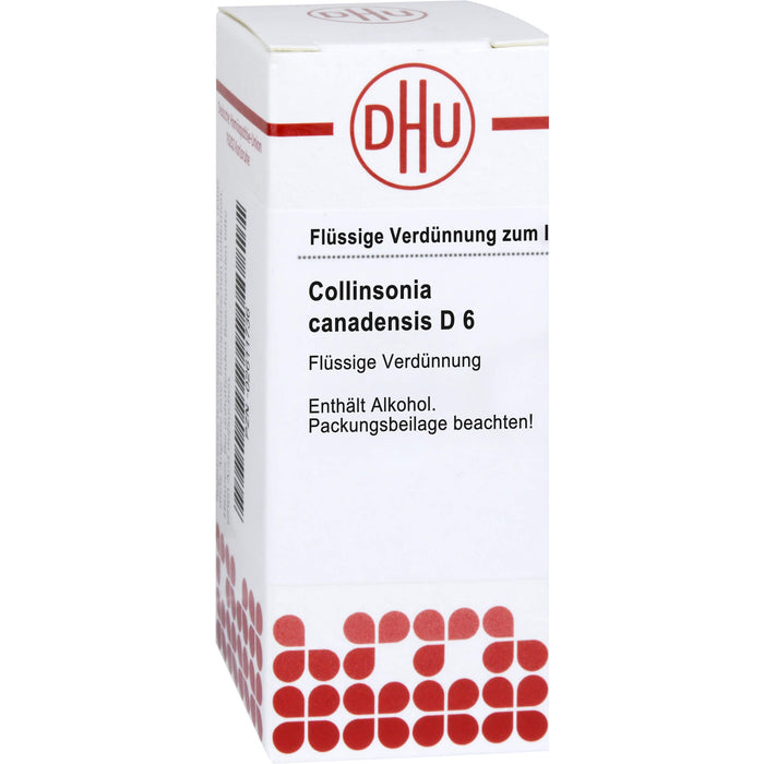 Collinsonia canadensis D6 DHU Dilution, 20 ml Solution