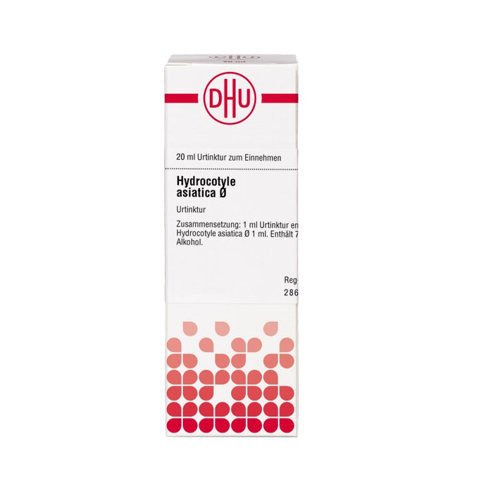 Hydrocotyle asiatica Urtinktur D1 DHU, 20 ml Lösung