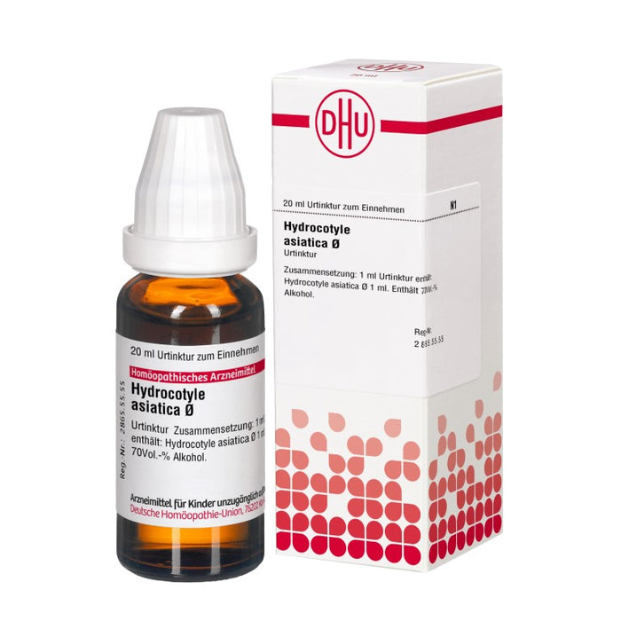 Hydrocotyle asiatica Urtinktur D1 DHU, 20 ml Solution