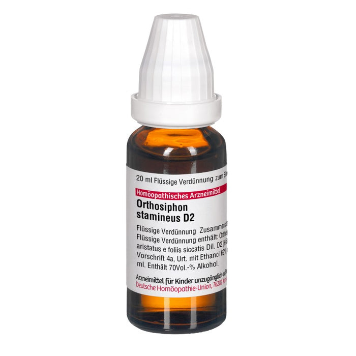 Orthosiphon stamineus D2 DHU Dilution, 20 ml Solution