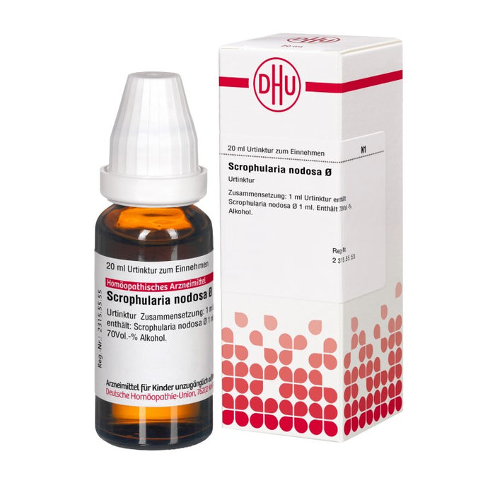 DHU Scrophularia nodosa ø Urtinktur, 20 ml Solution