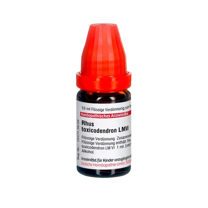 DHU Rhus toxicodendron LM VI Dilution, 10 ml Solution