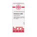 DHU Chelidonium LM XII Dilution, 10 ml Lösung