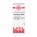 Chelidonium LM XXIV DHU Dilution, 10 ml Lösung