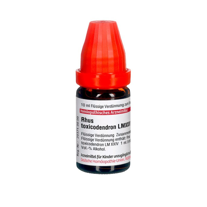 DHU Rhus toxicodendron LM XXIV Dilution, 10 ml Solution