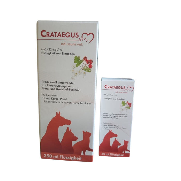 Crataegus ad usum vet., 250 ml Solution
