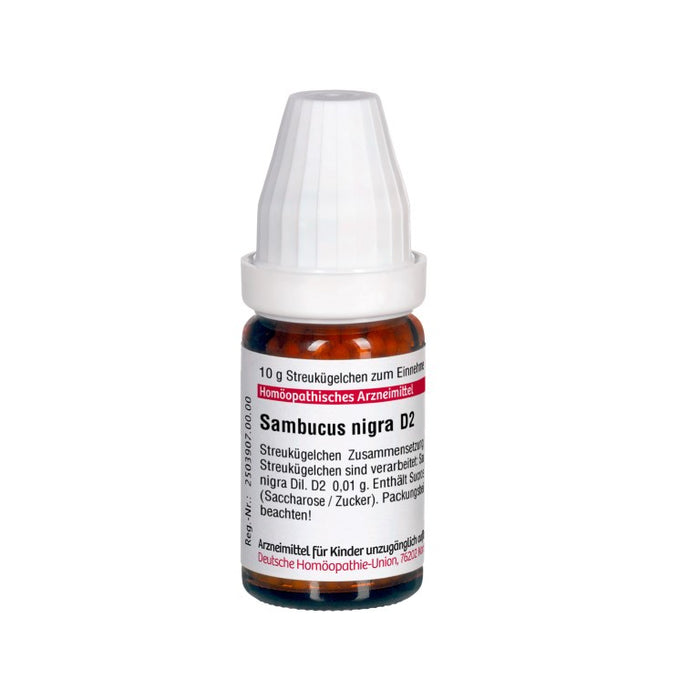 Sambucus nigra D2 DHU Globuli, 10 g Globules