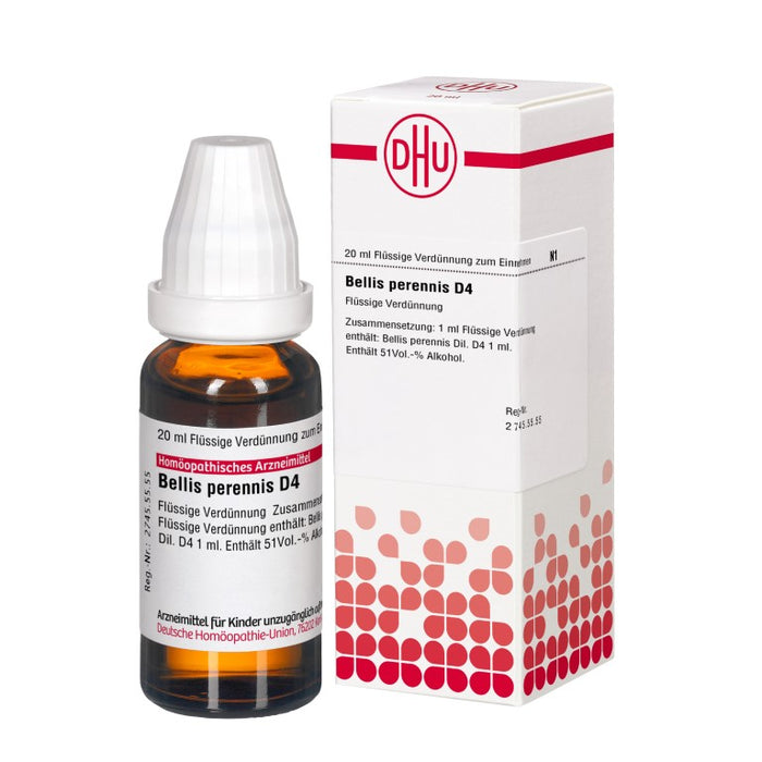 DHU Bellis perennis D4 Dilution, 20 ml Solution