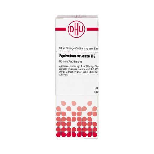 Equisetum arvense D6 DHU Dilution, 20 ml Lösung