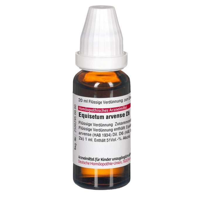 Equisetum arvense D6 DHU Dilution, 20 ml Solution